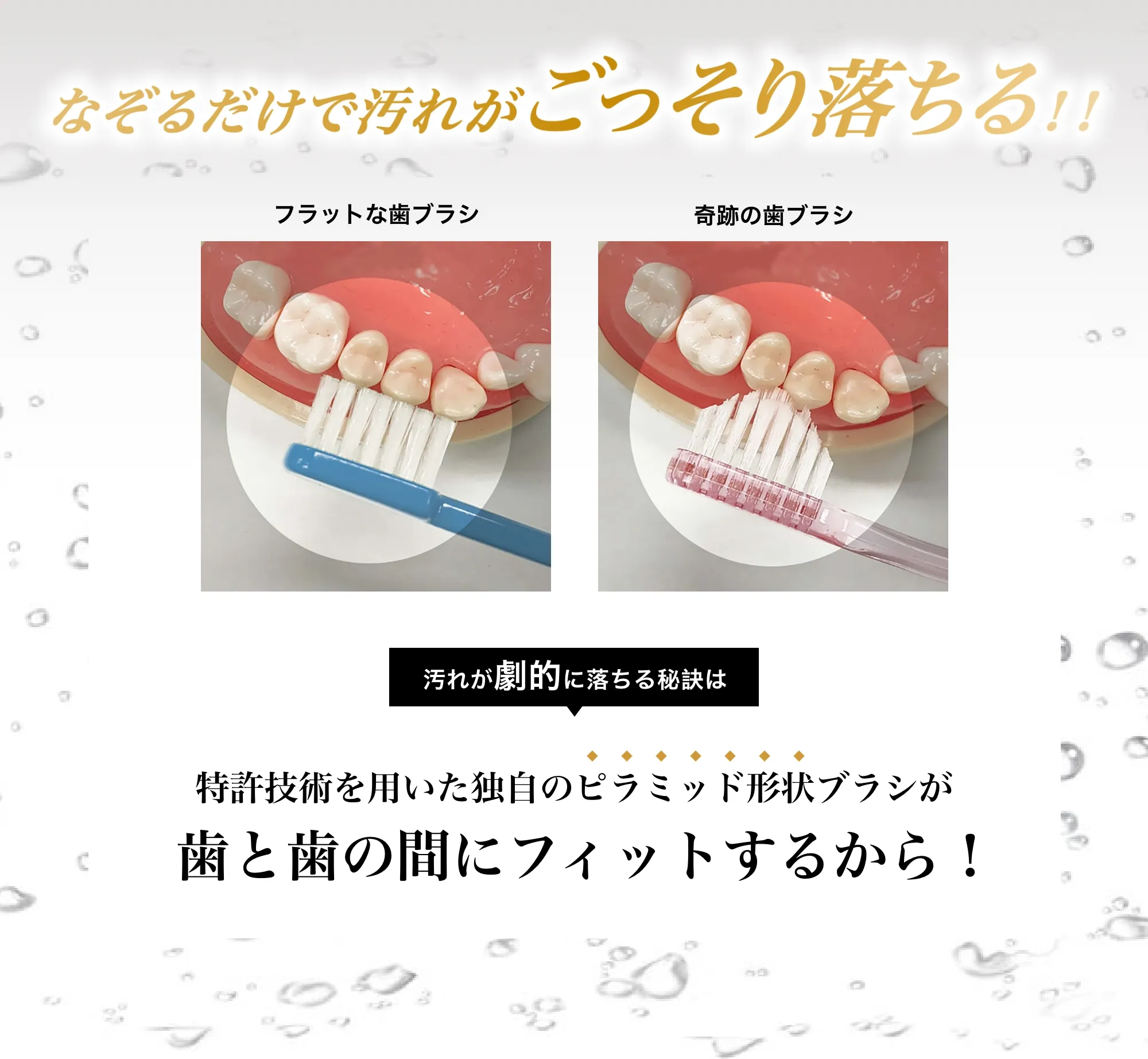 通販の虎×奇跡の歯ブラシ