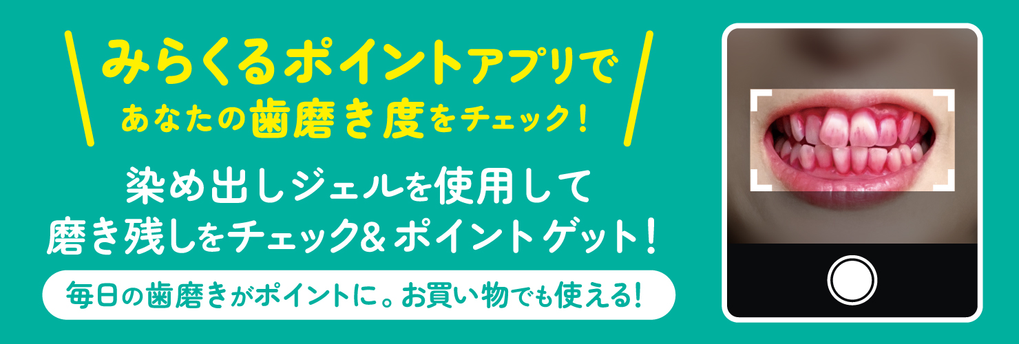 奇跡の歯ブラシSP 15本セット 奇跡の歯ブラシSP 6色15本セット | ［公式］奇跡の歯ブラシweb shop
