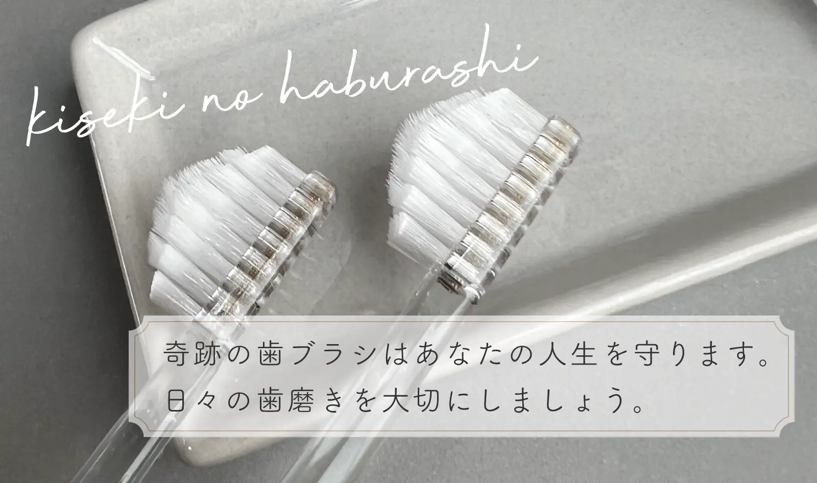 日々の歯磨きを大切にしましょう