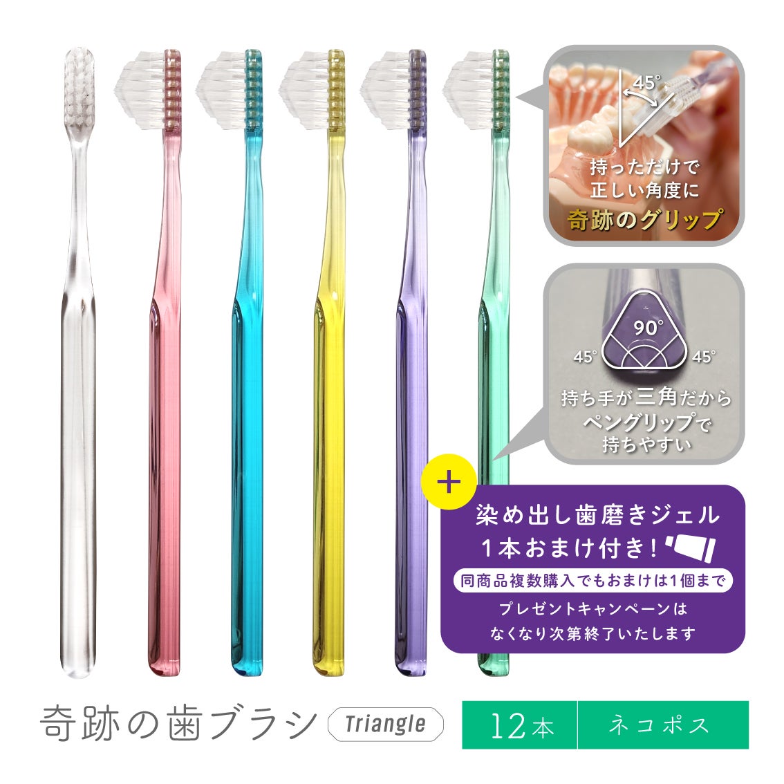 奇跡の歯ブラシ〈トライアングル〉12本 | ［公式］奇跡の歯ブラシweb shop
